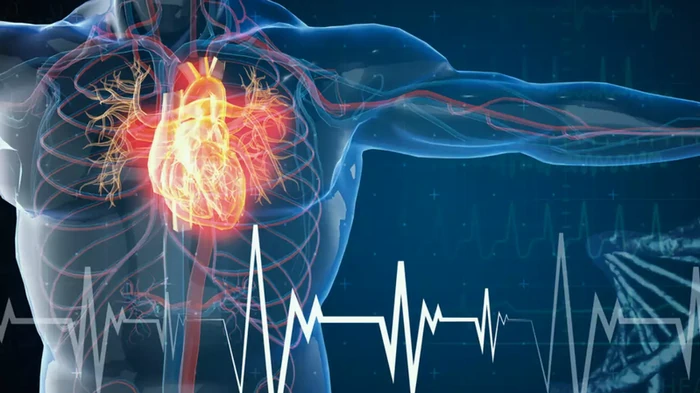 prévention de la thrombose