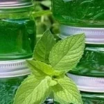 comment-preparer-une-confiture-de-menthe-poivree-qui-protege-du.webp.webp